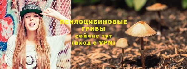jwh Гусиноозёрск