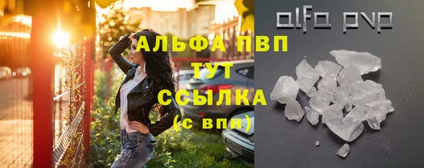 дживик Елабуга
