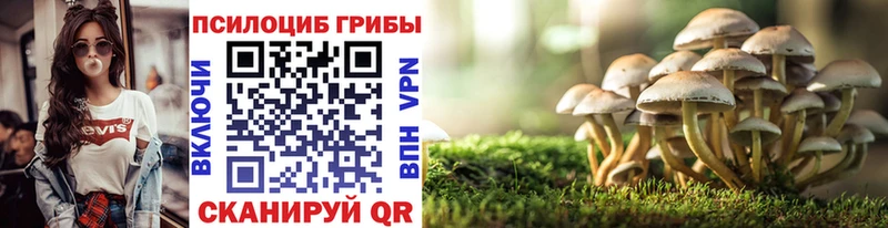 Псилоцибиновые грибы MAGIC MUSHROOMS  наркота  Ангарск 