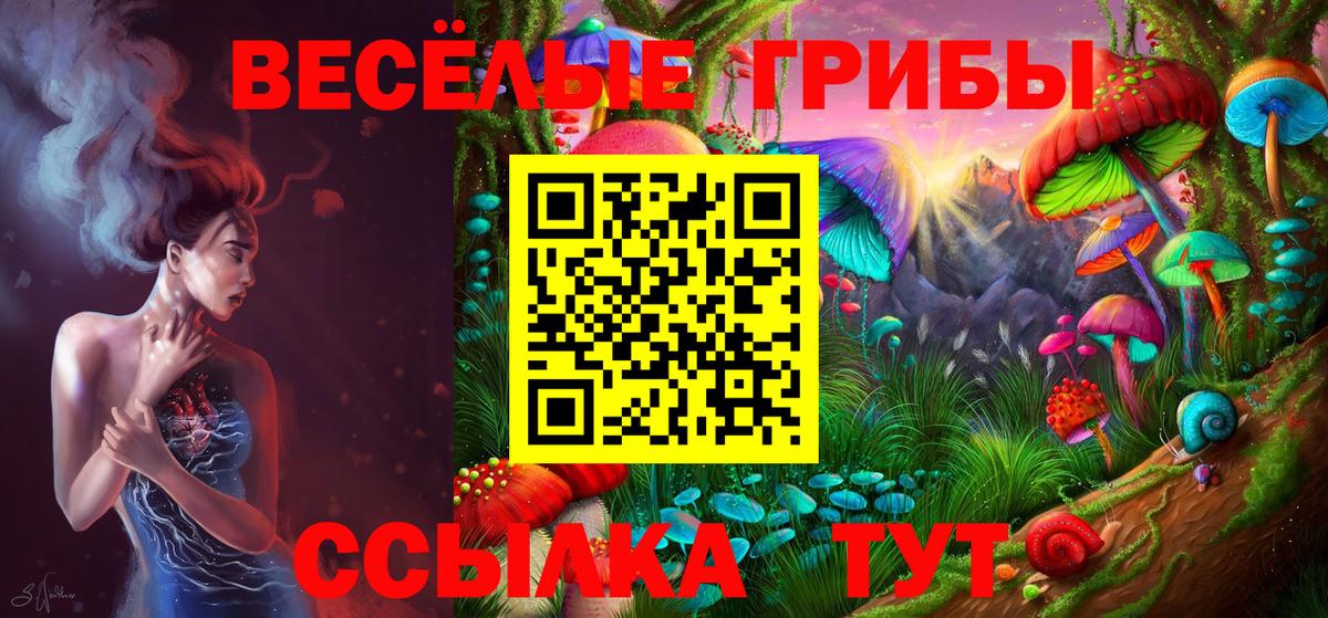 Псилоцибиновые грибы Psilocybe  Вход с VPN  Ангарск  Псилоцибиновые грибы Cubensis 
